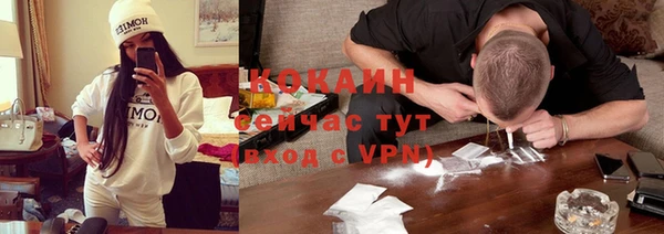 ECSTASY Алзамай