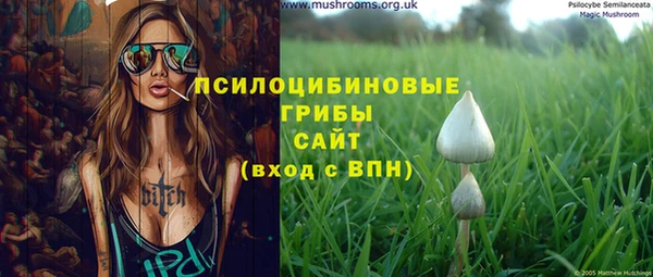шишки Абинск