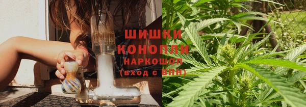 шишки Абинск